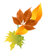 Fall-decoration-leaves-candle bottom